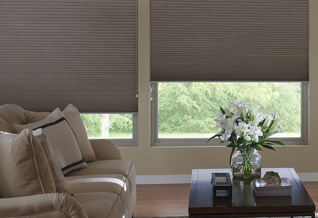 decor-team-roller-shades-12